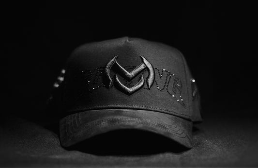 SNAP BACK
