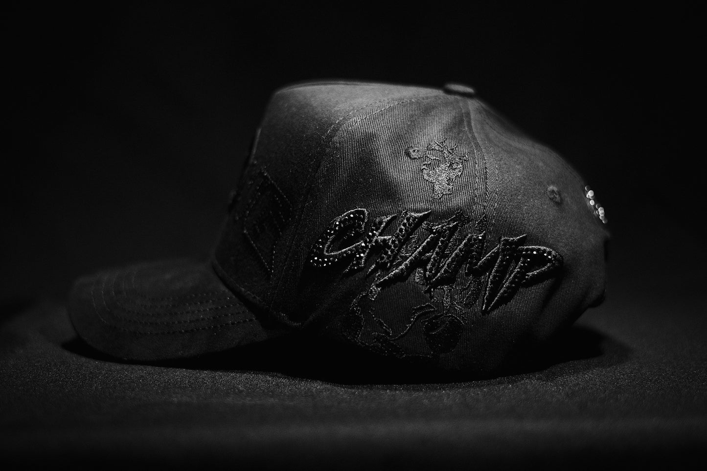 SNAP BACK